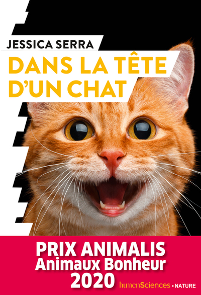 Dans La Tête D'Un Chat