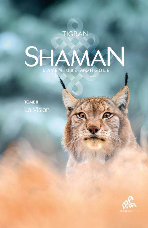 Shaman Volume 2