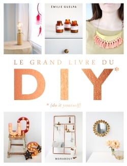 Le grand livre des DIY (Do It Yourself) / la bible de toutes les techniques