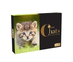 Calendrier Géo - Chats en 365 jours - Playbac Editions