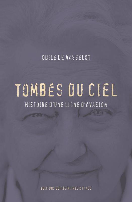 Tombés du ciel / histoire d'une ligne d'évasion - Odile DE VASSELOT