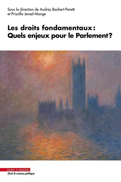 Les droits fondamentaux : Quels enjeux pour le Parlement ?