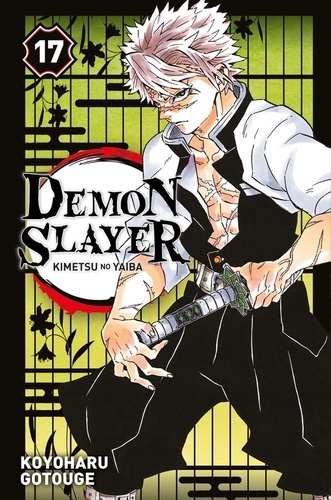 Demon Slayer Volume 17