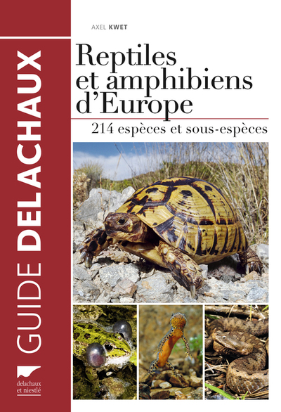 Reptiles et amphibiens d'Europe - Axel Kwet