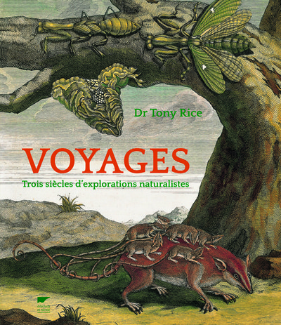 Voyages