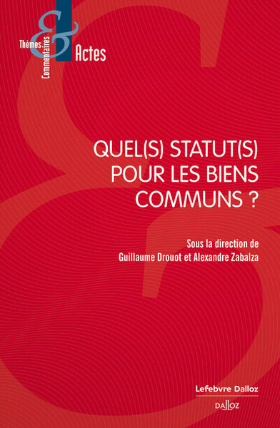 Quel(S) Statut(S) Pour Les Biens Communs ?