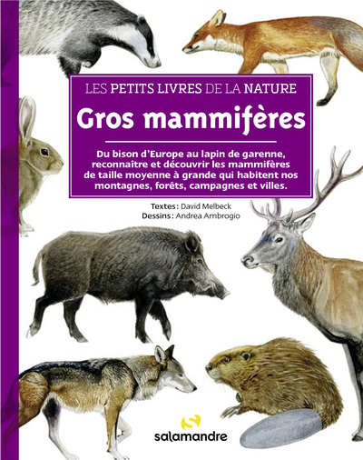 Les Petits Livres De La Nature - Gros Mammifères