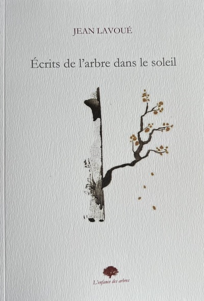 Écrits de l'arbre dans le soleil