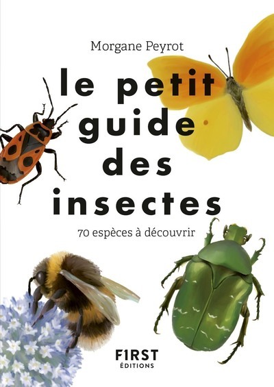 Le petit guide des insectes - Morgane Peyrot