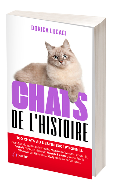 Chats de l'histoire