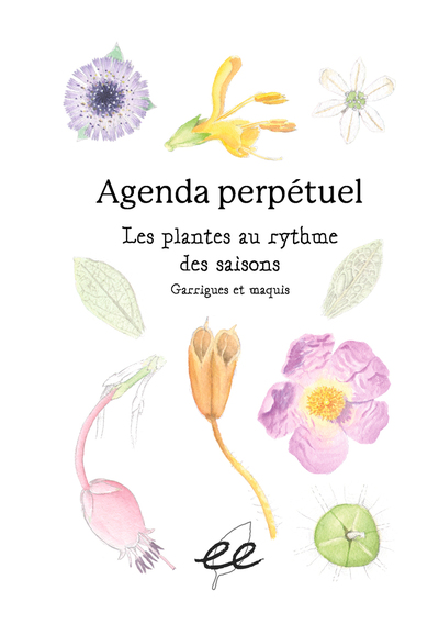 Agenda perpétuel Les plantes au rythme des saisons