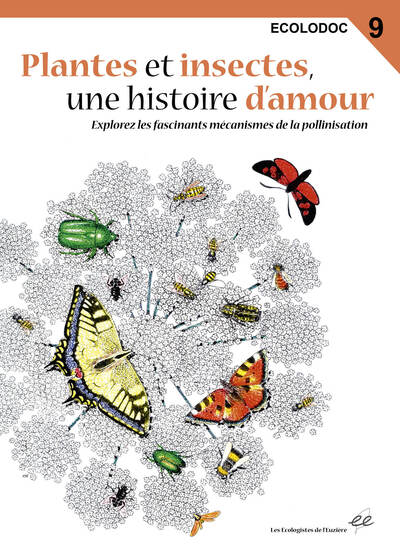 Plantes et insectes, une histoire d'amour