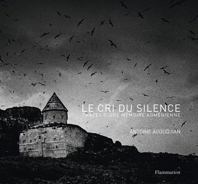 Le Cri du silence