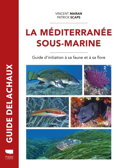 Méditerranée sous-marine - Vincent Maran, Patrick Scaps