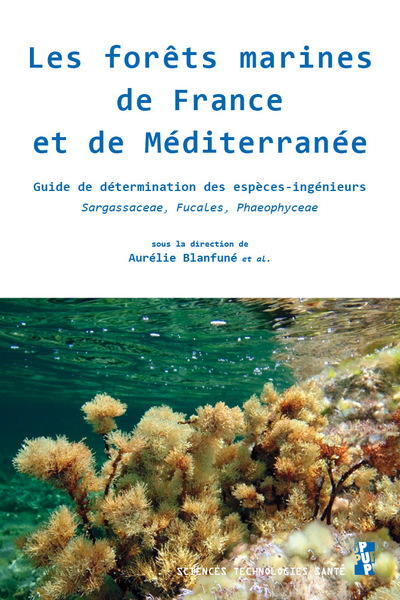 Les Forêts Marines De France Et De Méditerranée, Guide De Détermination Des Espèces-Ingénieurs Sargassaceae, Fucales, Phaeophyceae