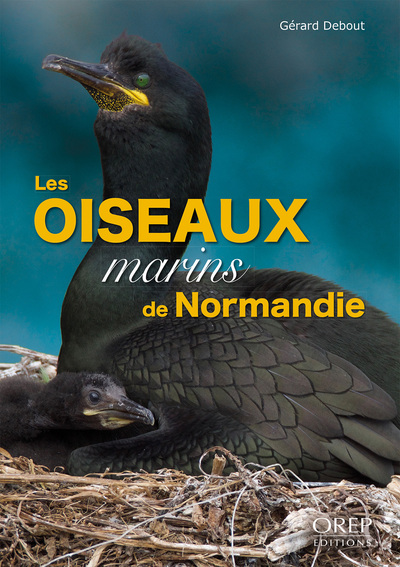 Les Oiseaux Marins De Normandie