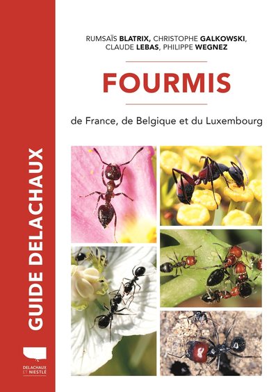 Fourmis De France, Plus De 100 Espèces Décrites - Rumsaïs Blatrix, Christophe Galkowski, Claude Lebas