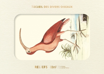 Livre d'images - Recueil de divers oiseaux