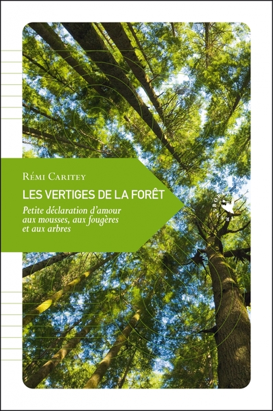 Les vertiges de la forêt