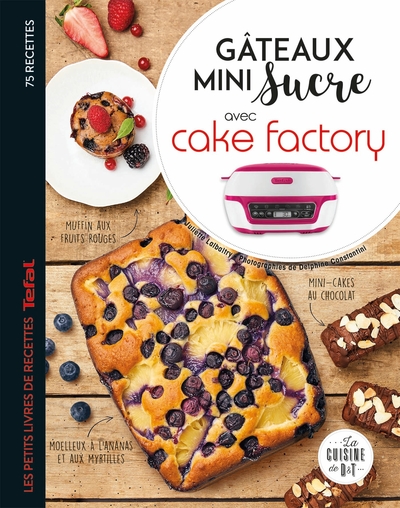 Gâteaux mini sucre avec Cake factory / 75 recettes