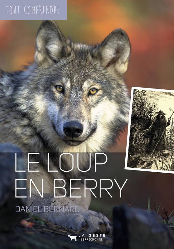 Le loup en Berry