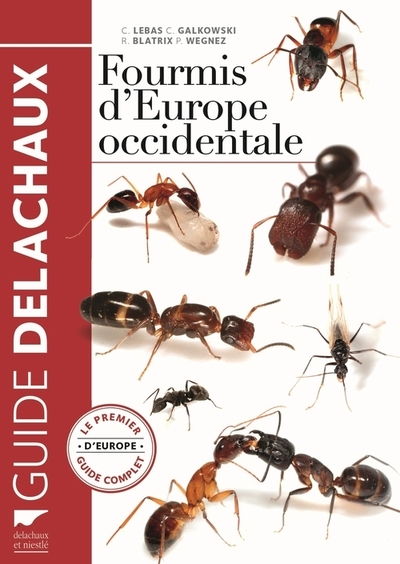 Fourmis d'Europe occidentale