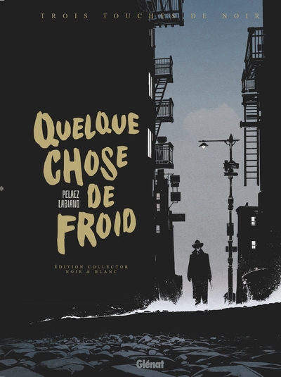 Quelque Chose de Froid - Edition - Quelque Chose de Froid - Edition Noir & Blanc - Hugues Labiano