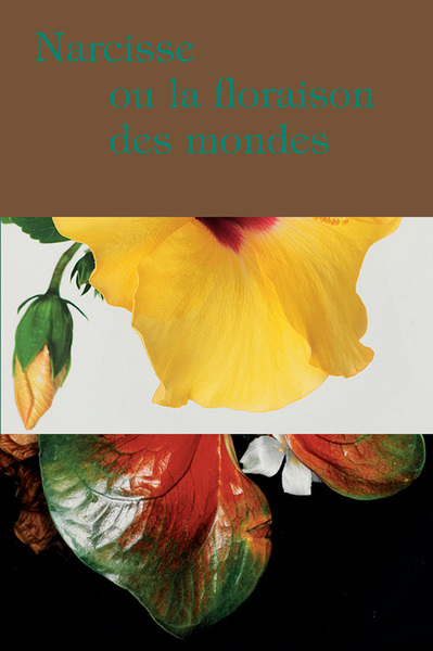 Narcisse ou La floraison des mondes - Claire Jacquet