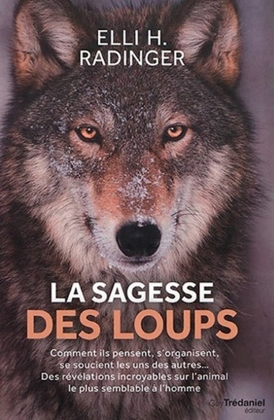 La Sagesse Des Loups