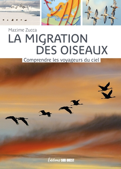 La migration des oiseaux. Comprendre les voyageurs du ciel