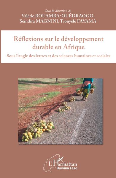 Réflexions sur le développement durable en Afrique - Seindira Magnini