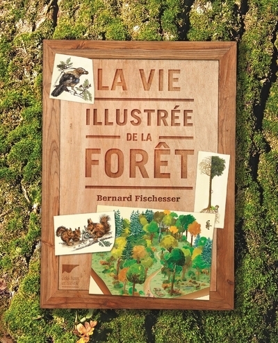 La vie illustrée de la forêt - Bernard Fischesser