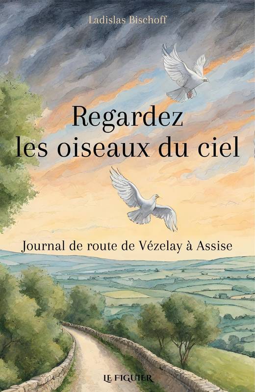 Regardez les oiseaux du ciel - Journal de route