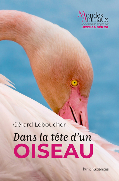 Dans La Tête D'Un Oiseau