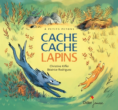 35 - Cache cache lapins