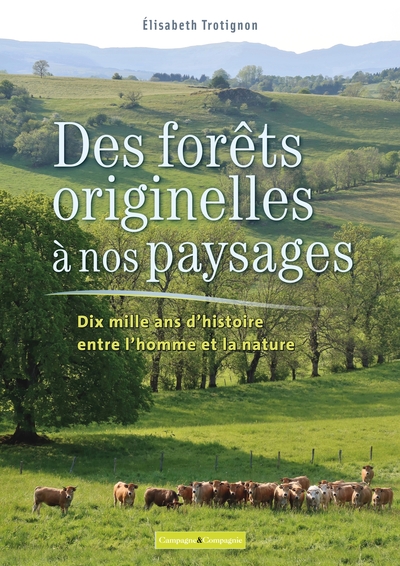 Des forêts originelles à nos paysages