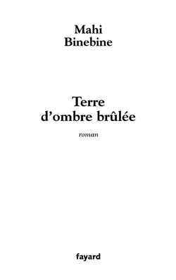 Terre d'ombre brûlée