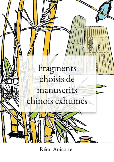 Fragments choisis de manuscrits chinois exhumés