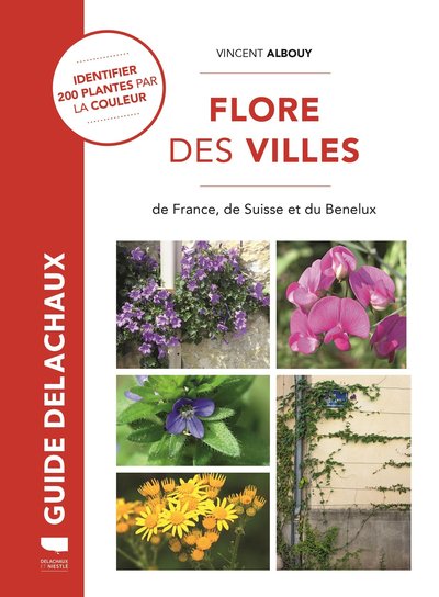 Flore des villes