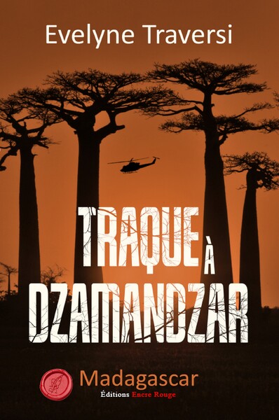 Traque à Dzamandzar