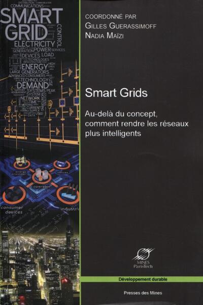 Smart Grids, Au-Delà Du Concept, Comment Rendre Les Réseaux Plus Intelligents.