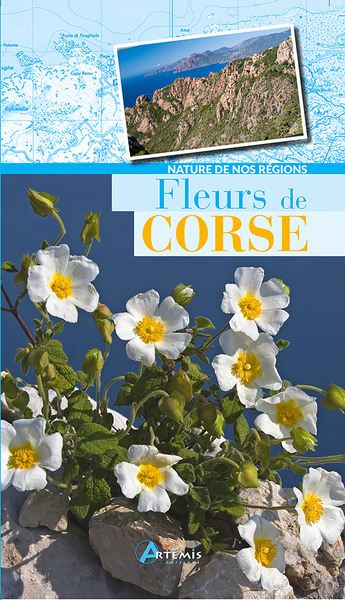 Fleurs de Corse - Collectif