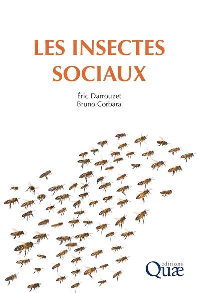 Les insectes sociaux - Bruno Corbara