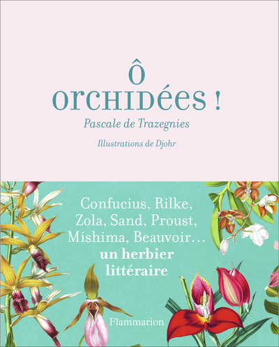 Ô orchidées !