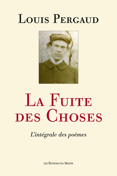 La Fuite Des Choses, L'Intégrale Des Poèmes