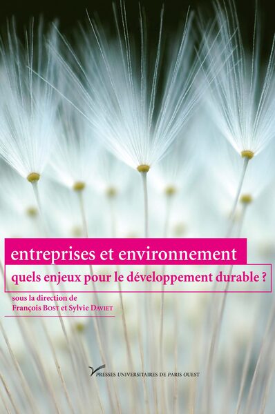 Entreprises Et Environnement, Quels Enjeux Pour Le Développement Durable ?