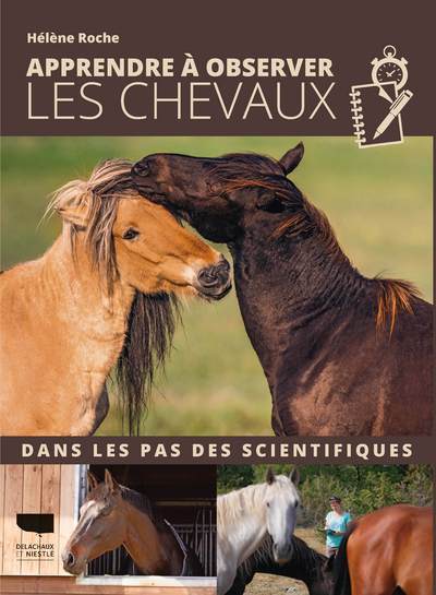 Apprendre à observer les chevaux