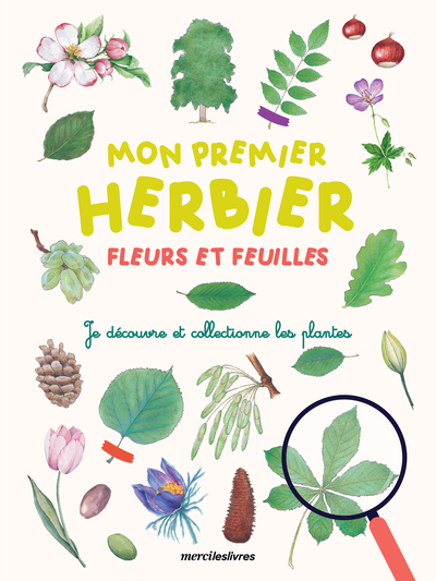 Mon premier herbier - Fleurs et feuilles - Collectif