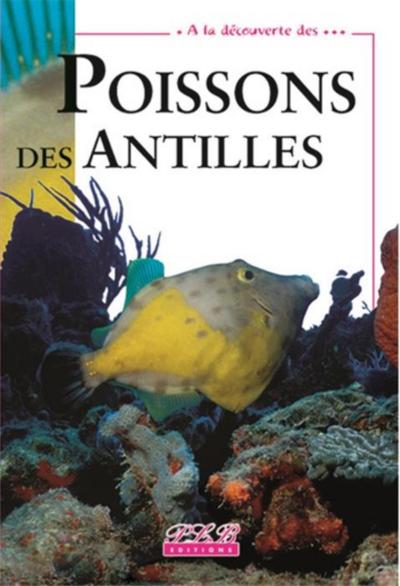 A La Decouverte Des... Poissons Des Antilles - Xxx