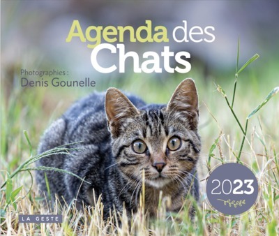 Agenda Des Chats 2023